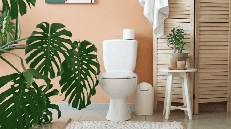 Domiciléo vous accompagne dans votre futur métier ! 2 toilettes avec mauvaises odeurs