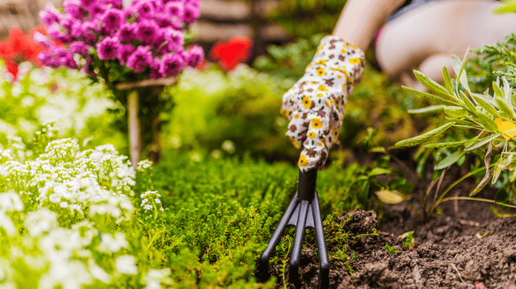 5 erreurs a eviter au jardin au printemps